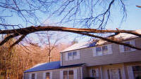 tree removed from roof of house